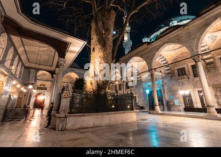 Mosquée Eyup Sultan. Cour de la mosquée Eyup à Istanbul. Istanbul Turquie - 1.14.2022 Banque D'Images