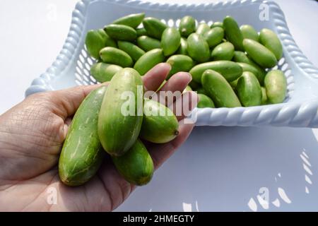 Femme tenant des gourdes d'Ivy ou de scarlet connu sous le nom de Tindora ou de Ghola, légumes verts du climat tropical légumes asiatiques indiens vue de dessus.Végétarien Banque D'Images