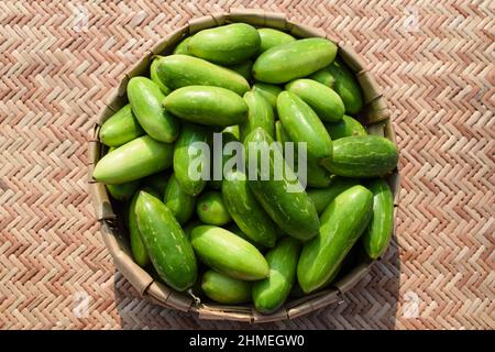 Gourdes d'Ivy ou de scarlet connu sous le nom de Tindora ou Ghola, légumes verts du climat tropical légumes asiatiques indiens vue de dessus.Légumes dans le panier Banque D'Images