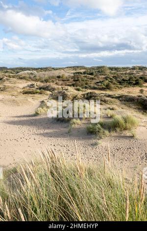 A cote de Bray-Dunes la dune du Perroquet la dune perroquet à proximité de Bray-Dunes Banque D'Images