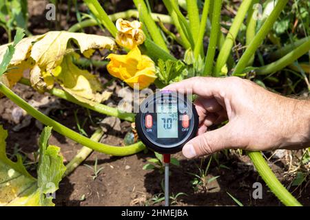 Mesure du pH du sol, de l'éclairage de l'environnement et de l'humidité dans un potager Banque D'Images