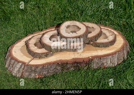 Morceaux de bois frais coupés en scie sur l'herbe Banque D'Images