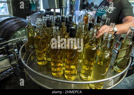 La distillerie Persyn a Houlle a recu plusieurs fois le Gin Award pour ses productions artisanales de genièvre originales - Alcool de grains - petite Banque D'Images