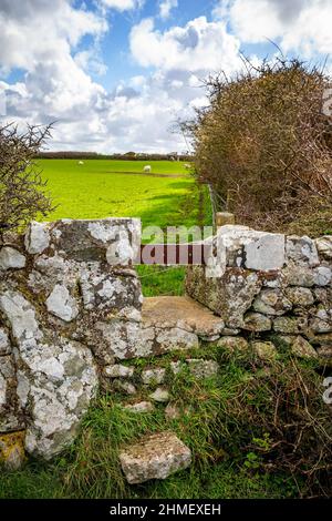 Ty Newydd Burial Chamber, un dolmen néolithique situé près du village de Llanfaelog sur l'île d'Anglesey au pays de Galles* Banque D'Images