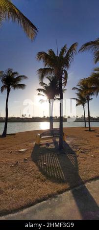 Lac, Orla do Atalaia, Aracaju, Sergipe, Brésil Banque D'Images