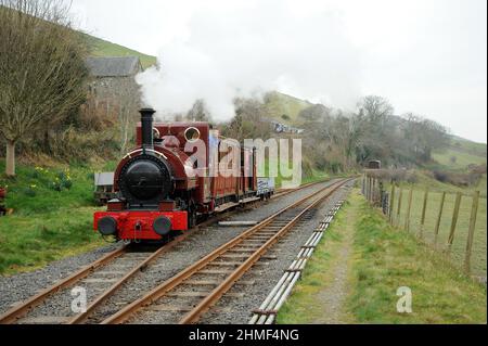 'Talyllyn' à Brynglas. Banque D'Images