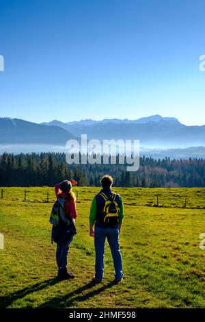 Randonnée sur le Panorama Trail, à Sonnenbichel, Schoenberg, près de Rottenbuch, Pfaffenwinkel, Haute-Bavière, Bavière, Allemagne Banque D'Images