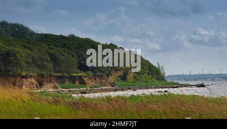 L'été sur les falaises près de Timmendorf, île de Poel, Allemagne Banque D'Images
