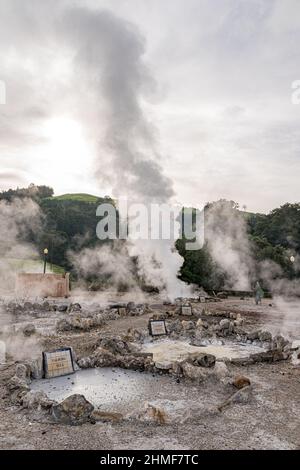 Fumaroles et sources d'eau chaude à Furnas, sur l'île de Sao Miguel (Açores, Portugal) Banque D'Images