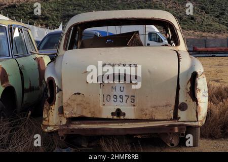 Vue arrière de la Peugeot beige rebuté avec plaque d'immatriculation peinte, voiture historique, recyclage des métaux, recyclage de la ferraille, recyclage des métaux, développement durable Banque D'Images