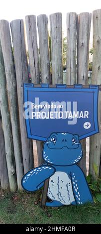 Projeto Tamar, Orla do Atalaia, Aracaju, Sergipe, Brésil Banque D'Images