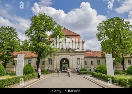 Charite, clinique Virchow, Augustenburger Platz, Wedding, Mitte, Berlin, Allemagne Banque D'Images