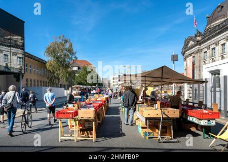 Marché aux puces avec des livres et des disques au Bodemuseum, Berlin, Allemagne Banque D'Images