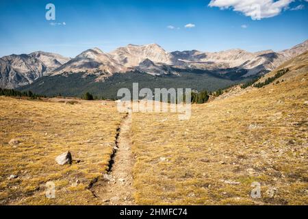 Sentier de randonnée dans la région sauvage de Collegiate, Colorado Banque D'Images