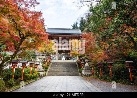 Un chemin bordé de lanternes avec des escaliers menant au temple Kurama-dere au nord de Kyoto, au Japon, le matin de l'automne. Banque D'Images