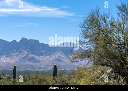 Vue sur la nature à Tucson, Arizona Banque D'Images