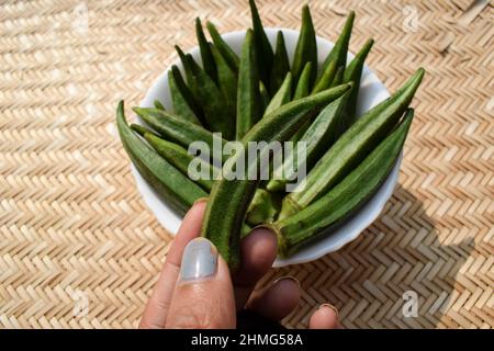 Femelle tenant des légumes frais d'Okra ou des légumes verts doigt de dame ou ladyfingers également connu sous le nom de Bhindi en hindi et en ourdou. Banque D'Images