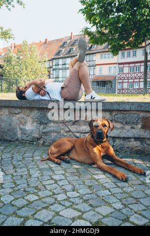 Plan vertical d'un homme allongé dans le parc avec son chien de ridreback du Rhodésie Banque D'Images