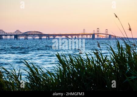 Des herbes marines encadrent le pont de la baie de Chesapeake au-dessus de la baie de Chesapeake dans le Maryland. Banque D'Images