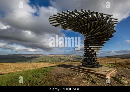 Burnley, Lancashire, Royaume-Uni, le mercredi 09 février 2022. Les marcheurs prennent une randonnée le long de la panpoticon de chant de l'arbre en regardant la ville de Burnle Banque D'Images