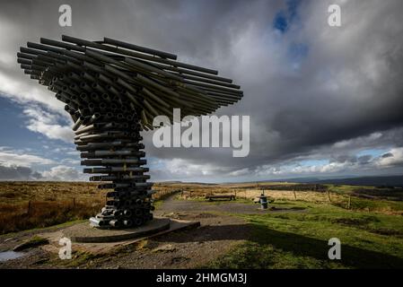 Burnley, Lancashire, Royaume-Uni, le mercredi 09 février 2022. Les marcheurs prennent une randonnée le long de la panpoticon de chant de l'arbre en regardant la ville de Burnle Banque D'Images