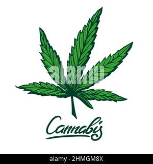 Illustration du schéma du vecteur feuille de cannabis. Logo feuille de marijuana dessiné à la main Illustration de Vecteur