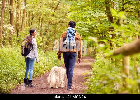 Vue arrière de couple avec chien d'animal randonnée le long du chemin à travers les arbres dans la campagne Banque D'Images