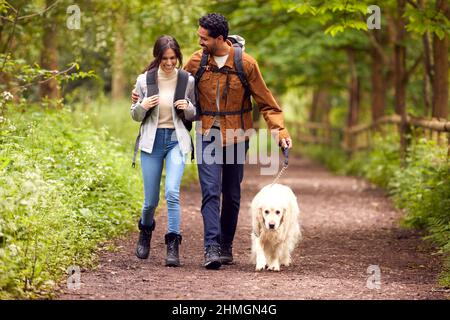 Couple avec chien Golden Retriever randonnée le long du chemin à travers les arbres dans la campagne Banque D'Images