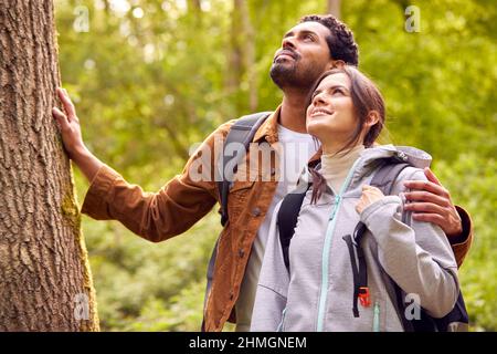 Couple randonnée le long du chemin à travers la forêt dans la campagne prendre Une pause et se reposer contre l'arbre Banque D'Images