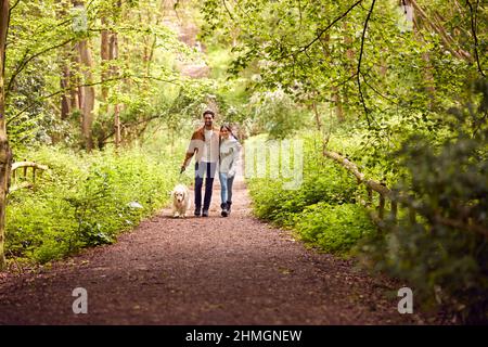 Couple avec chien Golden Retriever en compagnie d'animaux à pied le long du chemin à travers les arbres dans la campagne Banque D'Images