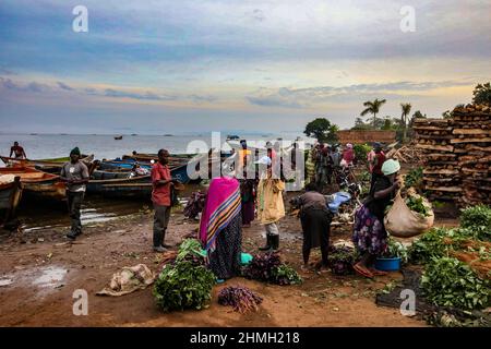 Albert Lake, parc national de Murchison Falls, Ouganda, décembre 2021. Les géants pétroliers chinois et français ont scellé un accord historique de 10 milliards de dollars pour développer les ressources énergétiques de l'Ouganda et construire un vaste pipeline régional, un mégaprojet qui a incité des groupes environnementaux. Le projet vise à exploiter les énormes réserves de pétrole brut du lac Albert, une frontière naturelle de 160 kilomètres entre l'Ouganda et la République démocratique du Congo. Le pétrole serait pompé de l'Ouganda enclavé par un pipeline chauffé de 1 443 kilomètres (900 milles) -- qui serait devenu le plus long de son type une fois achevé -- à travers la Tanzanie à Banque D'Images