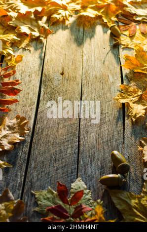 Tombée automne érable, chêne et des feuilles de frêne sur vieux plancher en bois éclairé par le soleil du matin Banque D'Images