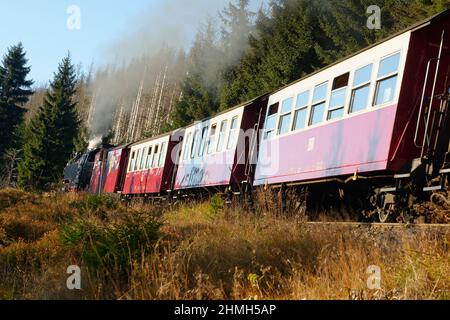 Brocken Railway sur la route de Schierke, Harz, Saxe-Anhalt, Allemagne Banque D'Images