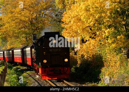 Brockenbahn sur le chemin de la gare de Wernigerode, Harz, Saxe-Anhalt, Allemagne Banque D'Images