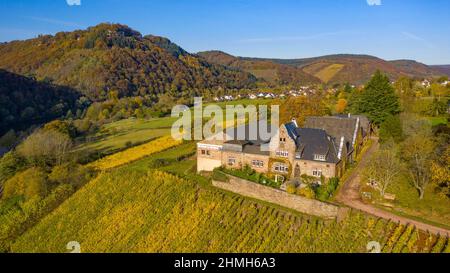 Weingut Würzberg, Serrig, Saartal, i, H, Le Klause à Kastel-Staadt, Parc naturel de Saar-Hunsrück, Rhénanie-Palatinat, Allemagne Banque D'Images