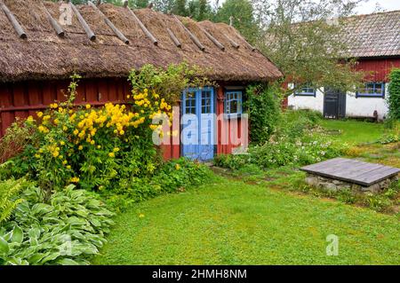 Europe, Suède, Suède centrale, province de Västergötland, ferme avec jardin fleuri près de Falköping, toit de chaume Banque D'Images