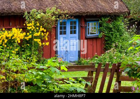 Europe, Suède, Suède centrale, province de Västergötland, ferme avec jardin fleuri près de Falköping, toit de chaume Banque D'Images