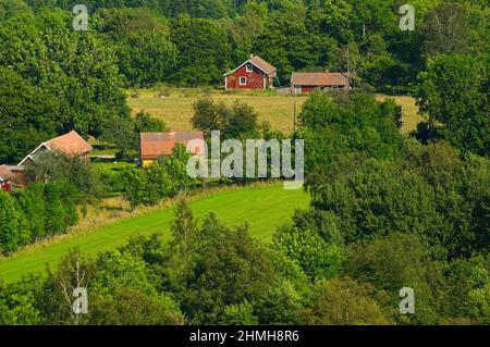 Europe, Suède, Suède centrale, province de Västergötland, vue de Fullösa sur la montagne Kinnekulle Banque D'Images