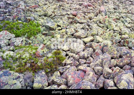 Europe, Suède, Nord de la Suède, province d'Angermanland, patrimoine naturel mondial de l'UNESCO 'Höga Kusten' Banque D'Images