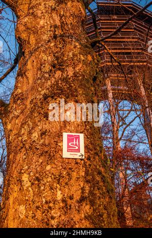 Panneau de randonnée sur le point de vue de Cloef avec la promenade de la Treetop Saarschleife, Mettlach-Orscholz, Sarre, Allemagne Banque D'Images