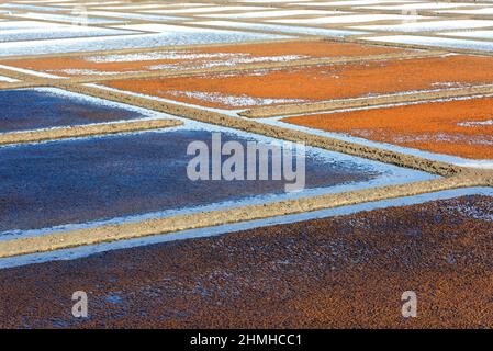 Dans les marais salants de Guérande, France, pays de la Loire, Loire-Atlantique Banque D'Images