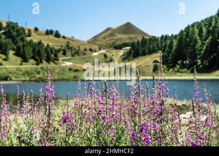 Lac au col de Vars Banque D'Images