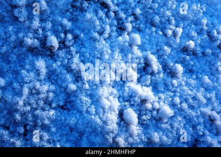 Cristaux de givre globulaire au sol, hivernent dans la vallée de la Riss, Karwendel, Tyrol, Autriche Banque D'Images