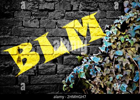 BLM graffiti jaune sur le mur de brique noire avec la plante ivy, symbole du mouvement social Black Lives Matter Banque D'Images