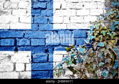 La Finlande grunge le drapeau sur le mur de brique avec l'usine de lierre, symbole de pays concept Banque D'Images