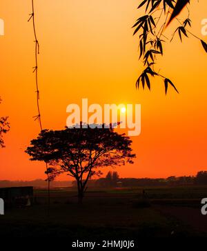 Coucher de soleil coloré et dramatique en hiver. Cette image m'a été prise le 31 janvier 2022, à Kolatia, Bangladesh, Asie du Sud Banque D'Images