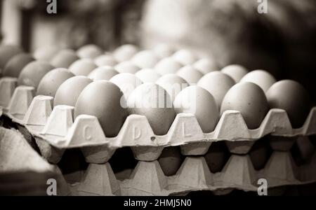 Œufs de poulet gratuits sur les plateaux dans une boutique de la ferme Banque D'Images