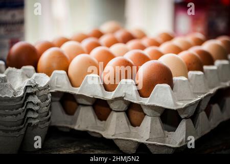 Œufs de poulet gratuits sur les plateaux dans une boutique de la ferme Banque D'Images