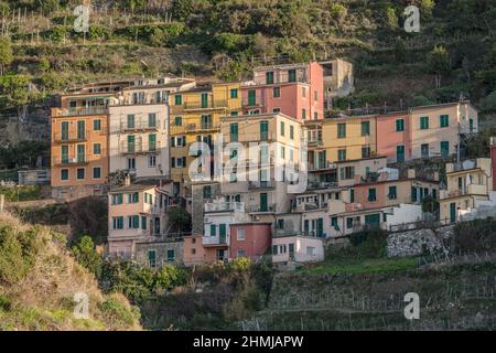 Maisons traditionnelles historiques sur une pente verte abrupte, filmées sous la lumière d'hiver à Riomaggiore, Cinque Terre, Italie Banque D'Images