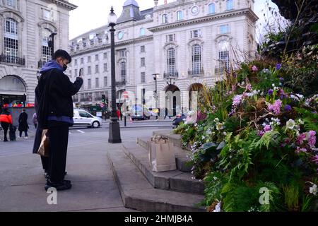 Des plantes et des fleurs couvrent la fontaine commémorative Shaftesbury, souvent connue sous le nom d'« Eros », à Piccadilly Circus, Londres, Angleterre, Royaume-Uni. Cette publicité annonce une expérience de réalité augmentée Green Planet qui ouvrira ses portes à Piccadilly Circus le 11th février 2022. Parmi les partenaires et les partisans de ce projet figurent BBC Earth, EE, Crown Estate, Factory 42, Kew Royal Botanic Gardens, Talesmith et dimension. Le projet propose la réservation de billets gratuits en ligne et dure jusqu'au 9th mars 2022. Un jeune homme prend une photo de l'écran sur son téléphone portable. Banque D'Images